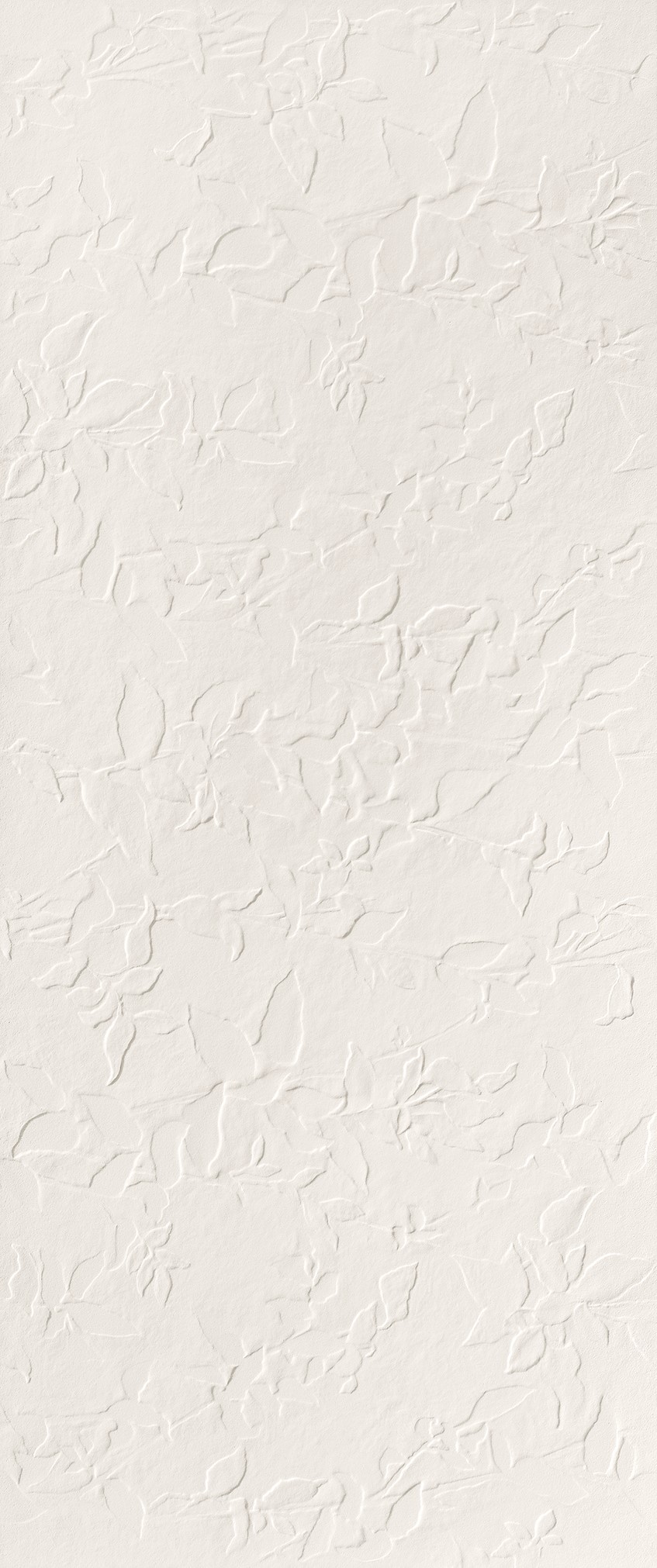 Jasmine White 50x120